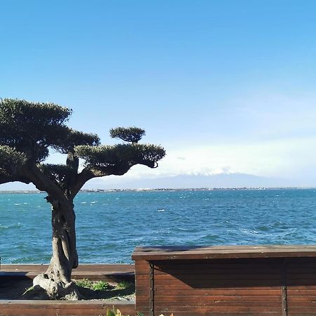 Appartement Cosy Sur La Presqu'Ile De Cap Coudalere Avec Piscine Ouverte Et Chauffee Le Barcares Bagian luar foto