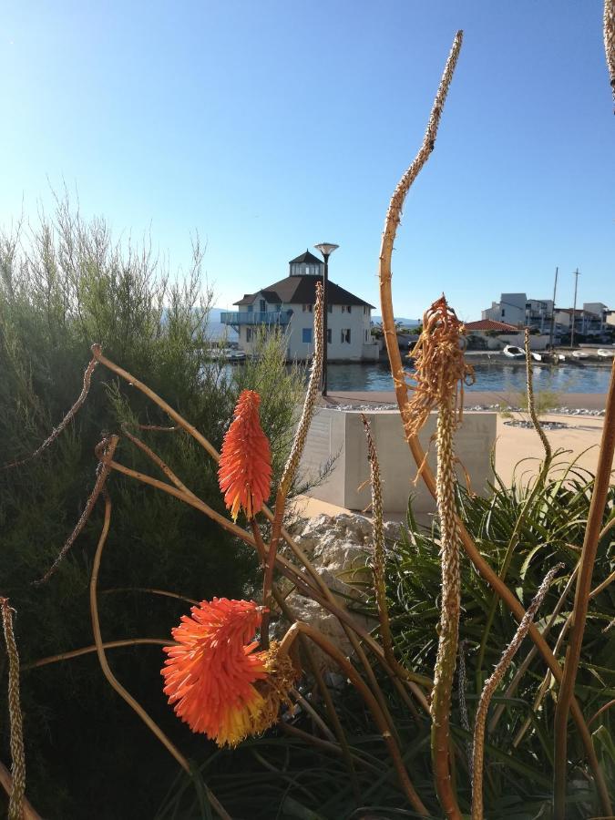 Appartement Cosy Sur La Presqu'Ile De Cap Coudalere Avec Piscine Ouverte Et Chauffee Le Barcares Bagian luar foto
