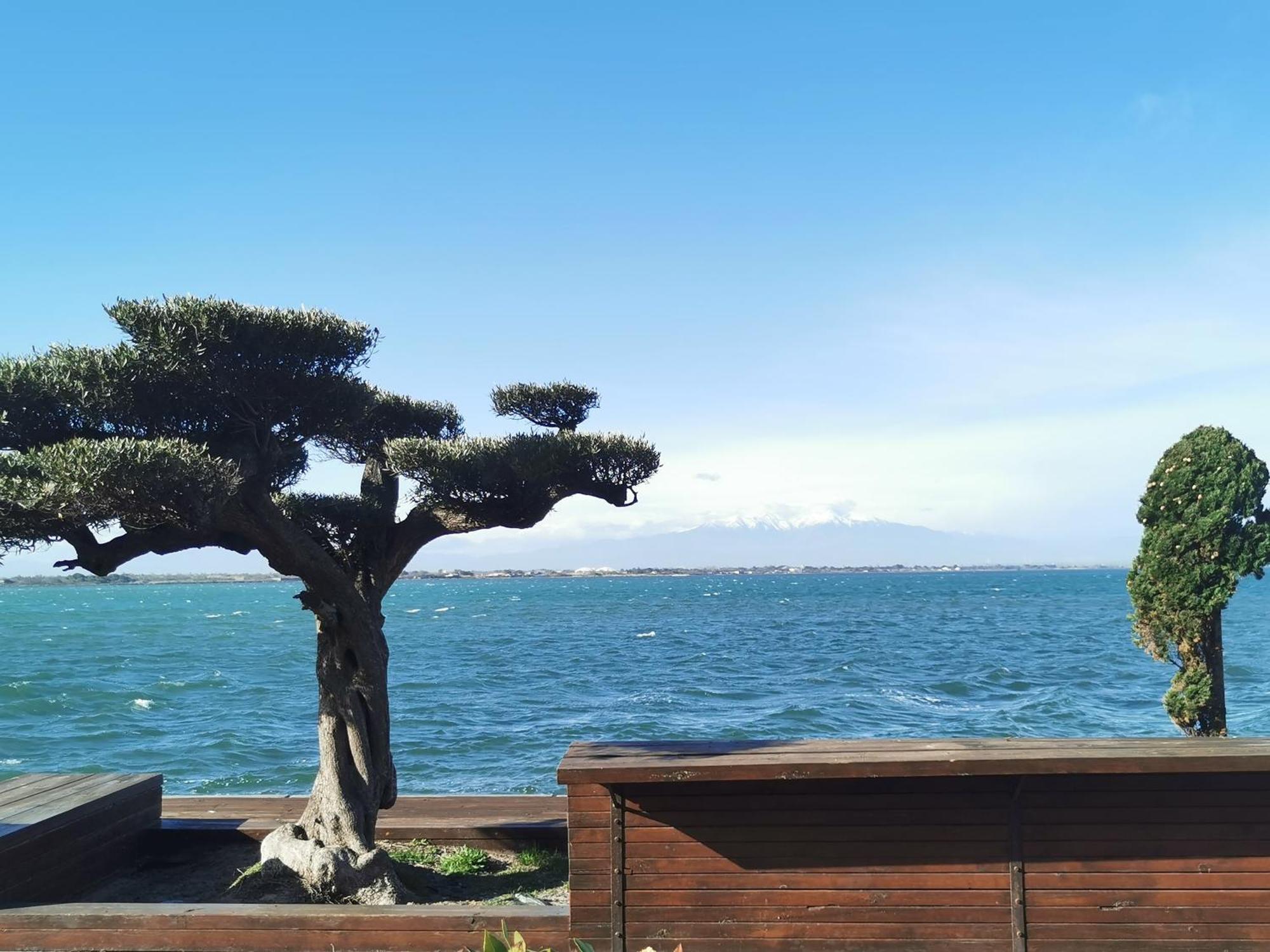 Appartement Cosy Sur La Presqu'Ile De Cap Coudalere Avec Piscine Ouverte Et Chauffee Le Barcares Bagian luar foto